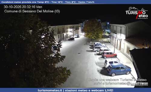 anteprima webcam