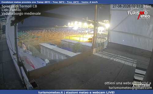anteprima webcam