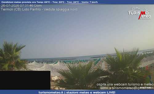 anteprima webcam