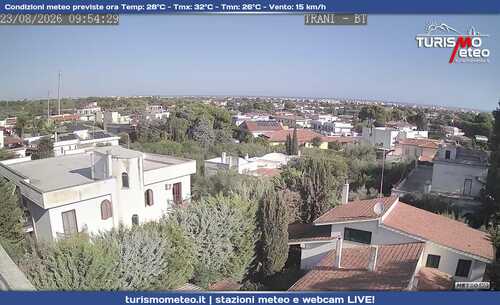 anteprima webcam