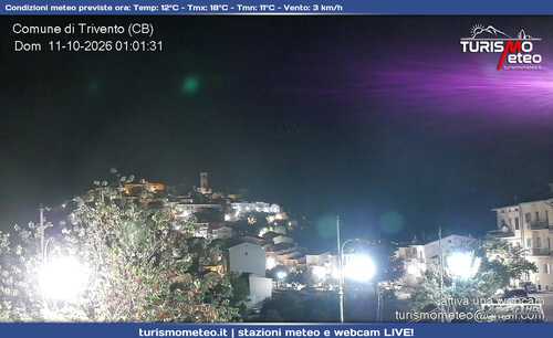 anteprima webcam
