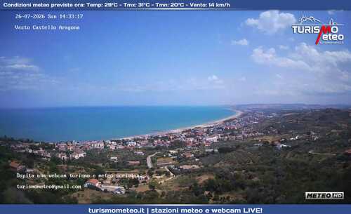 anteprima webcam