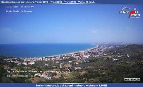 anteprima webcam