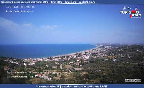 anteprima webcam