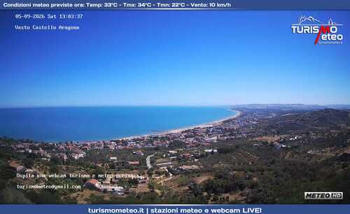 anteprima webcam