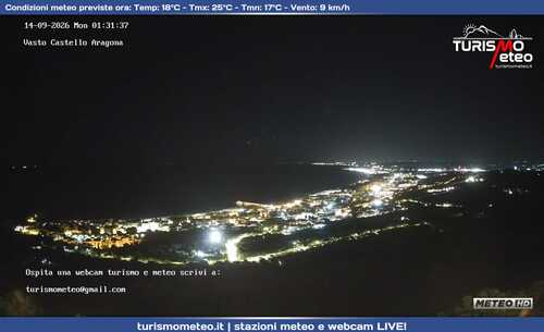 anteprima webcam