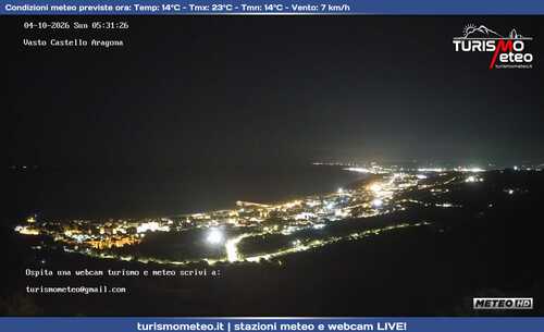 anteprima webcam